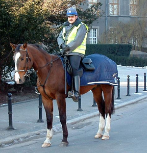 Caballos policiales - imagen obtenida de Wikimedia Commons