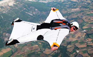 Wingsuit (traje areo)