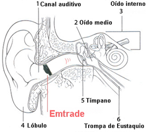 Lenguaje