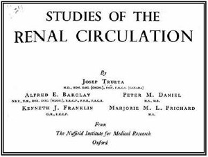 Estudio renal