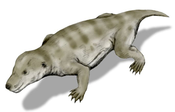 Thrinaxodon - fuente Wikipedia