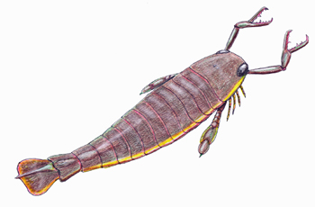 Dibujo de Jaekelopterus de Ahbra, CC BY-SA 4.0, https://commons.wikimedia.org/w/index.php?curid=36922112