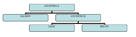 Cladograma