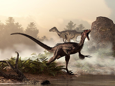 RAPTORDRAK (Velociraptor)