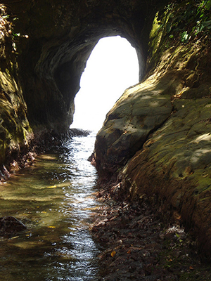 La primera caverna