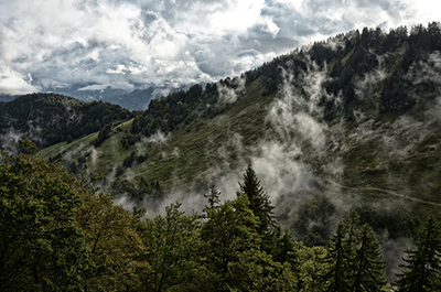 El Bosque de los Ausentes [imagen sacada de pixabay.com, de Thierry Milherou]