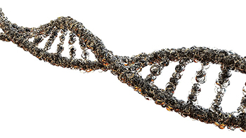 Cadena de ADN. Imagen CC de https://www.piqsels.com/es/public-domain-photo-fzdcn