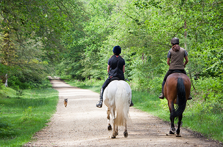 Imagen de Karen Arnold. Horse Back Riders. Dominio Pblico.