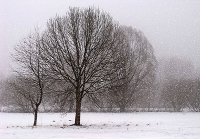 Nevando. Fotografa de WolfgangLtzgendorf, licencia CC en pexels.com