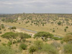 sabana de Entrovia