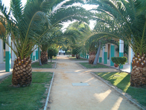 Paseo interior entre los edificios