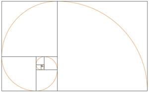 espiral aurea y rectngulos