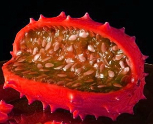 Pitaya Roja